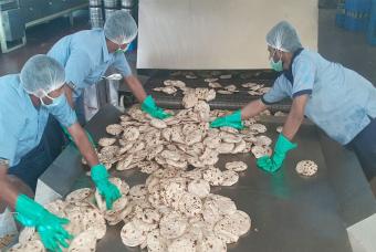 Food being inspected and sorted